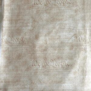 * We The People * Patriotic Fabric * Cotton Quilt Quality * 4 Yds Available* NEW